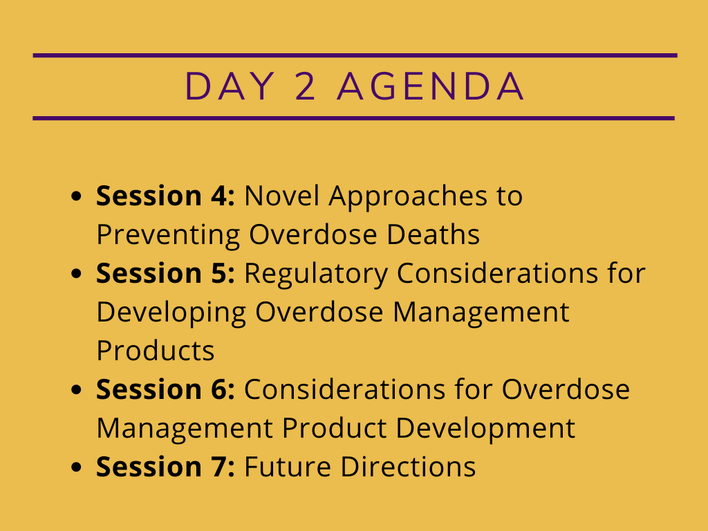 Agenda Day 2